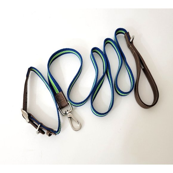 Good2Go Blue Striped Dog Leash and Collar Set - Picture 4 of 6